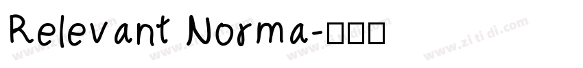 Relevant Norma字体转换